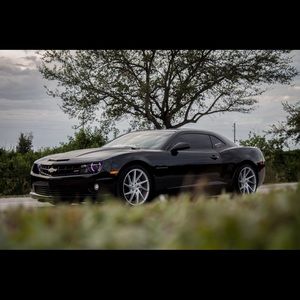 Meet your Posher, Oscar